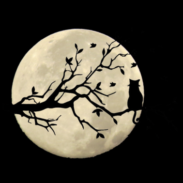 Motiv DER MOND UND DER KATZE / DIE KATZE UND DER MOND /