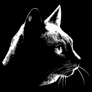 Motiv Katzen Silhouette