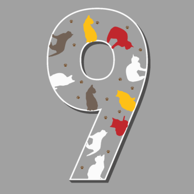 Motiv 9. Neunter Geburtstag Katze Neunjährige Geschenk