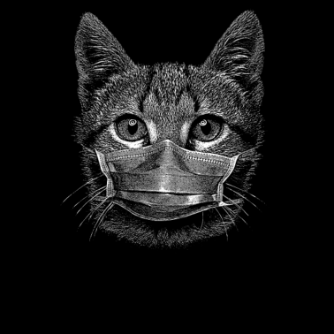 Motiv Niedliche Katze Kätzchen mit Mundschutz Maske