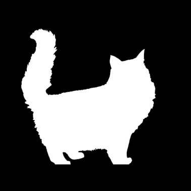 Motiv Meine weiße Katze