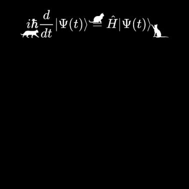 Motiv Schrödinger Katzen Mathematik und Physik Formel Gleichung
