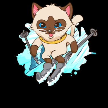 Motiv Skifahrer Katze Skifahren Ski Abfahrt Wintersport