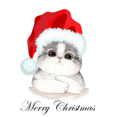 Motiv Frohe Weihnachten Frohes Fest Weihnachtsmann Katze