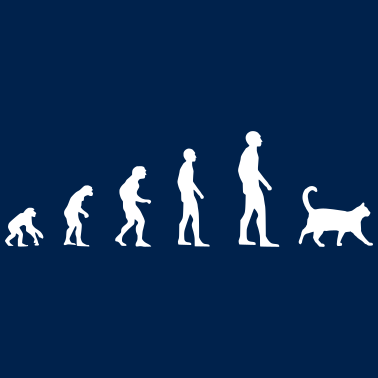 Motiv Katze – Evolution