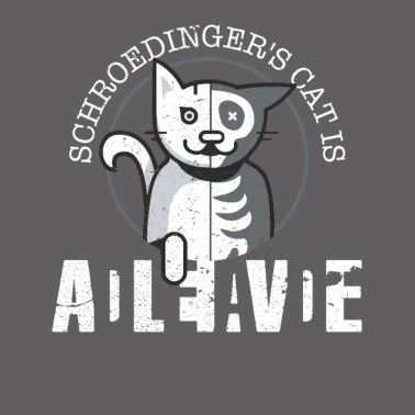 Motiv Schrödingers Katze - Physik Nerd Physiker Geschenk