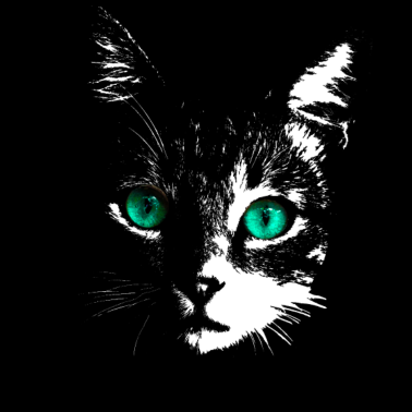 Motiv Gloweyecat