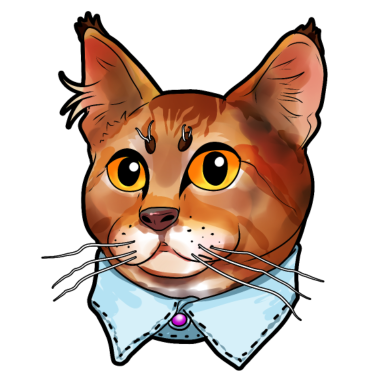 Motiv Pixie-bob Pixiebob Katze Gesicht Kätzchen Katzen