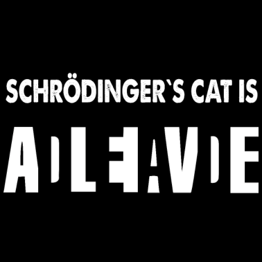 Motiv Schrödingers Cat Physik Nerd Geek Geschenk
