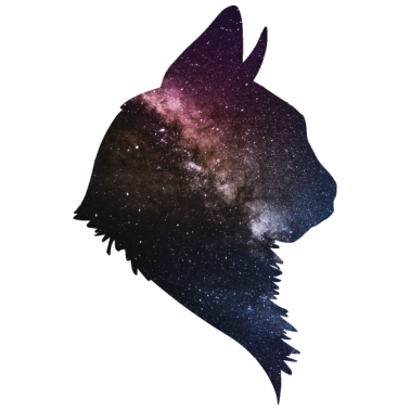Motiv Galaxy Katze