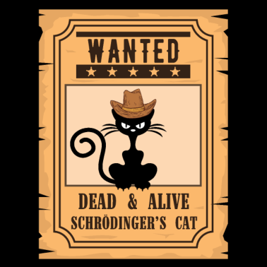 Motiv Schrödingers Katze - Lustiges Nerd Physiker Shirt