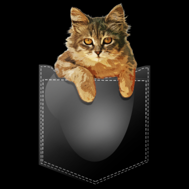 Motiv kätzchen kitten Pocket