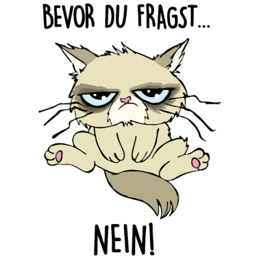 Motiv Bevor du fragst... NEIN