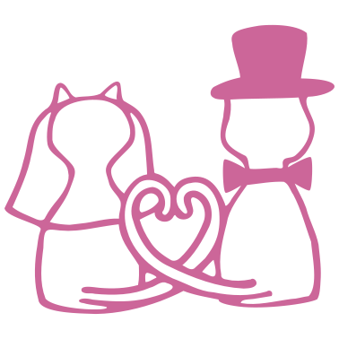 Motiv Katzen Hochzeit