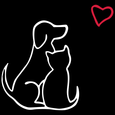 Motiv hund katze liebe