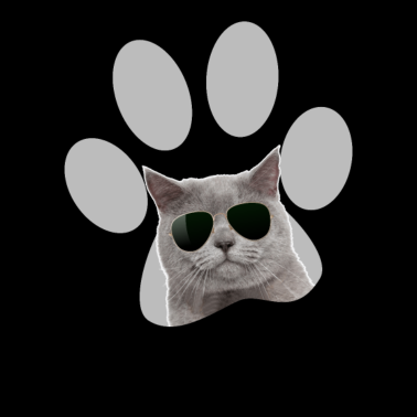 Motiv Lustige BKH Britisch Kurzhaar Katze mit Brille