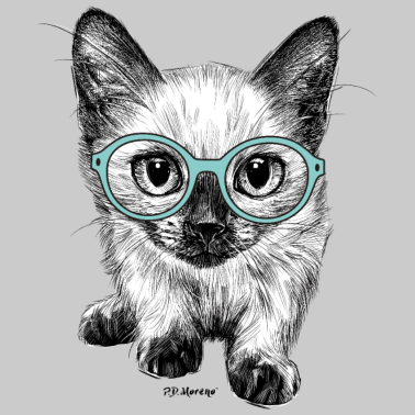 Motiv P.D. Moreno Neugierige Katze