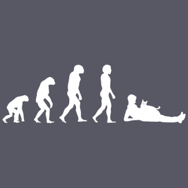 Motiv Katze Kater Katzen