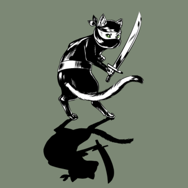 Motiv Ninja Katze