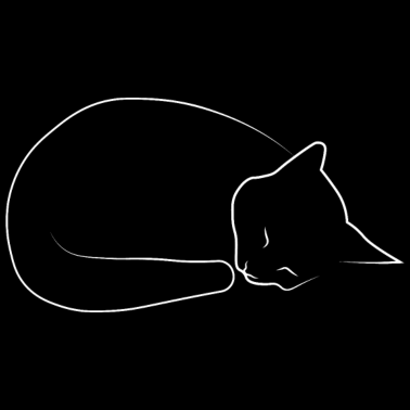 Motiv Schlafender Kater