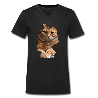 Katzen T-Shirt - Katze, Katzen