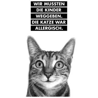 Motiv KINDER WEGGEBEN KATZE ALLERGISCH