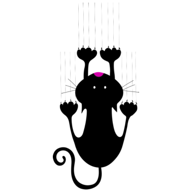 Motiv Anhängliche Katze