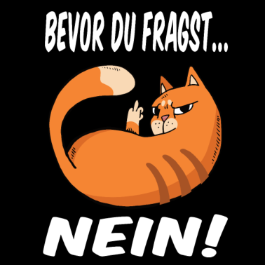 Motiv Bevor du fragst nein lustige und süße Katze