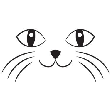 Motiv Katzen Gesicht