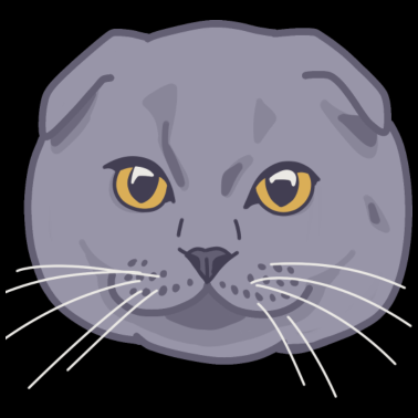 Motiv British Shorthair oder Scottish Fold Katze