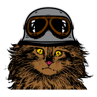 Motiv LUSTIGES MOTORRAD KATZEN T-SHIRT IDEE KINDER MANN