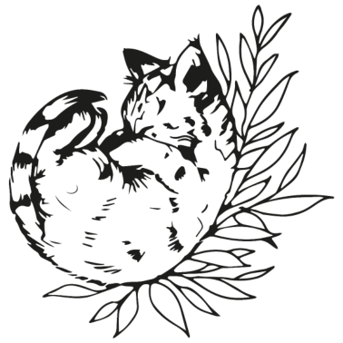 Motiv Süße Katze Kätzchen Kitten Maine Coon Katzenfreund