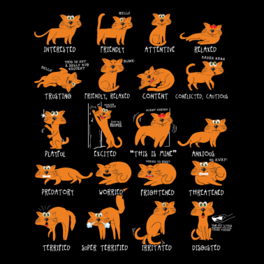 Motiv Katze Katzen Geschenk