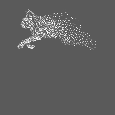 Motiv Springende Katze