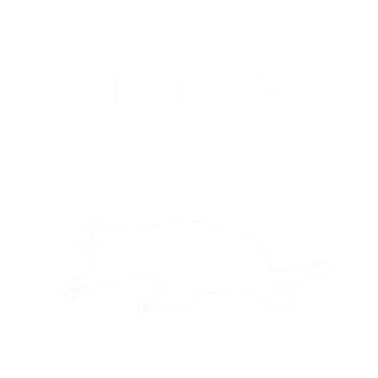 Motiv Katze hier platzieren