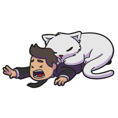 Motiv Kuschelattacke Katze