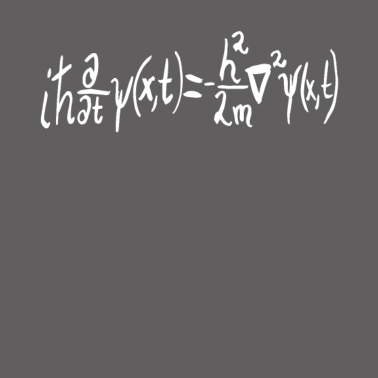 Motiv Schrödinger Gleichung