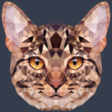 Motiv Cat Kitty Katze Polygon Geschenk