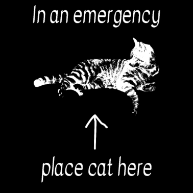 Motiv Katze Hier Platzieren Haustier Liebe Katzenmutter