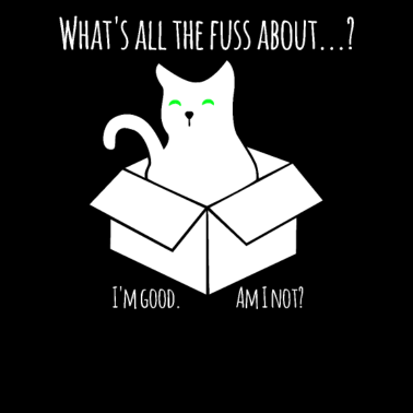 Motiv Schroedinger Katze - Experiment mit der Box