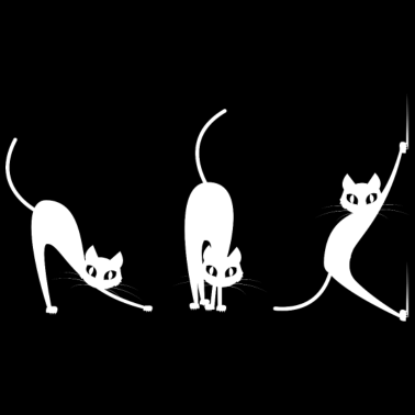 Motiv Katze - Lustige Katzen - Katzen Motive - Cat - Pet