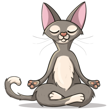 Motiv Yoga Katze