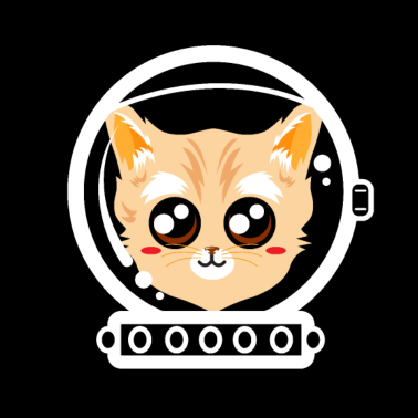 Motiv Katze Weltraum