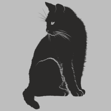 Motiv Schwarze Katze