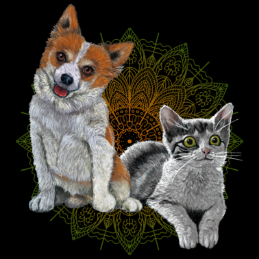 Motiv Hund Katze