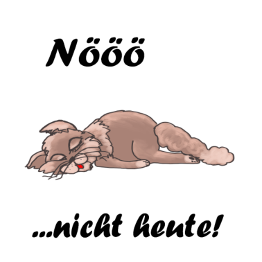 Motiv Katze - nööö nicht heute