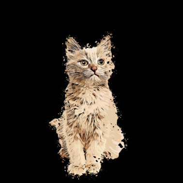 Motiv Katze Persa Katze Katzen Mietze