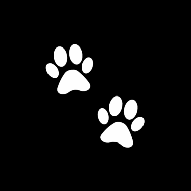 Motiv Pfote Paw Katze Hund Tier