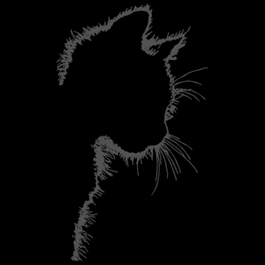 Motiv Katzen Profil, Kätzchen Geschenk Idee