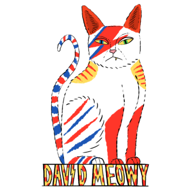 Motiv David Cat Meowy